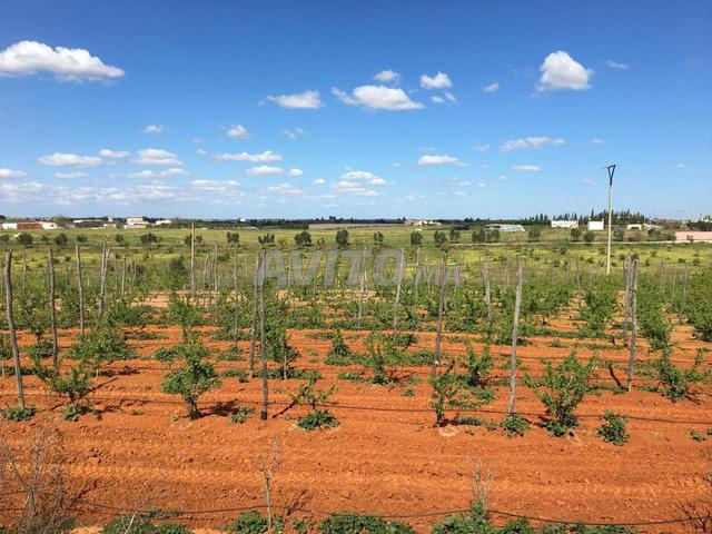 Magnifique Fermette d'Agrément (1,3 Ha) - 2