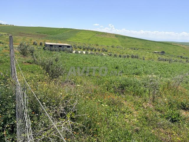 Terrain à vendre 9000 mètres carrés - 2