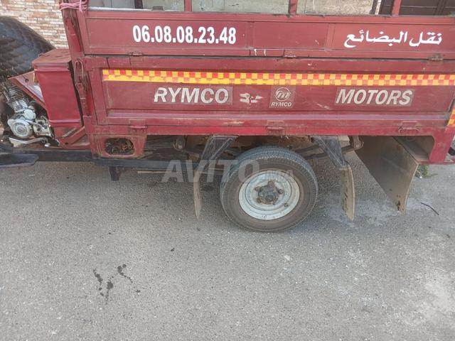 Rimco 2019 - 2
