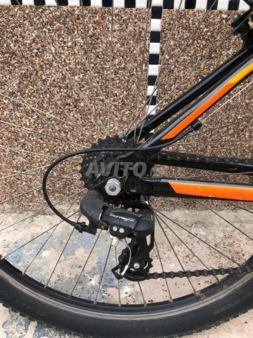 Vélo Megamo bonne occasion - 2