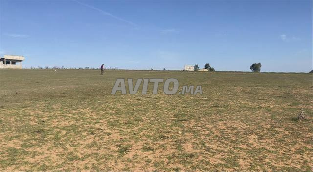 أراضي ومزارع مسجلة للبيع في بير الجديد