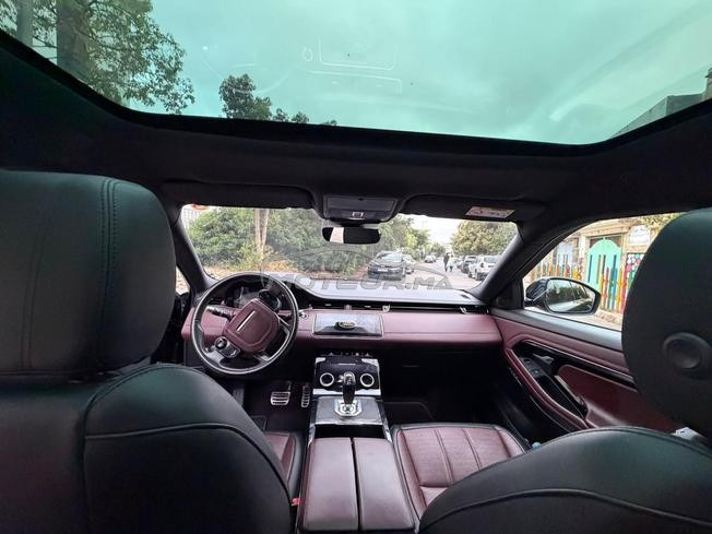 BB velar a vendre