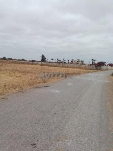 1 hectare à vendre - 2