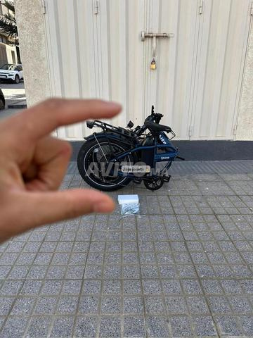 Casablanca - 2