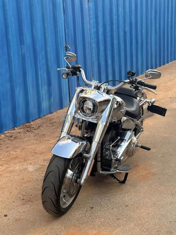 Harley-Davidson Fat Boy 2025 Gray Ghost - 2