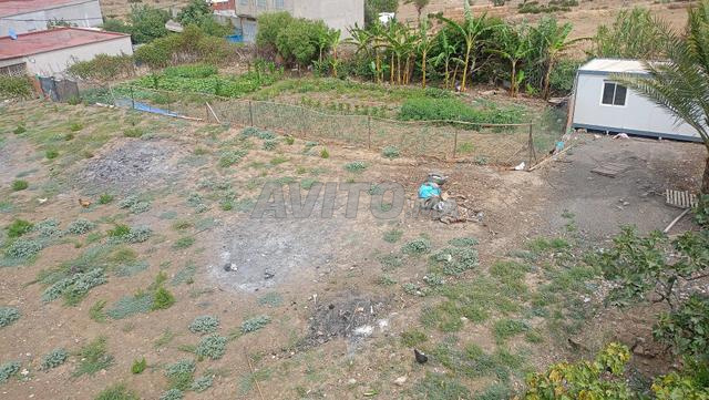 Sidi Hssayn - 2