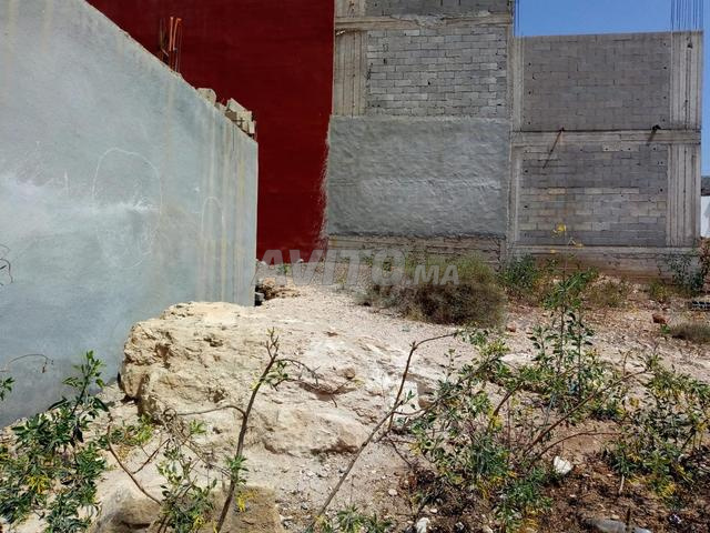 Terrain R2 Tadart Haut Anza - 2