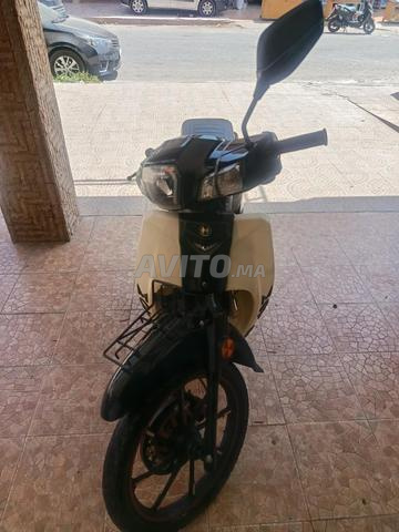 MOTARD 2024 V10 - 2