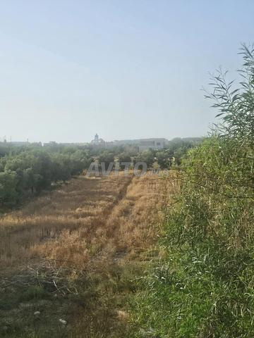 أرض للبيع الحسيمة السواني