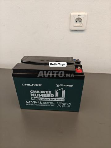 Batterie Chilwee 12V 45Ah - 2