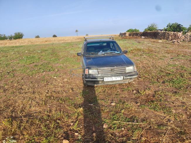 Peugeot309