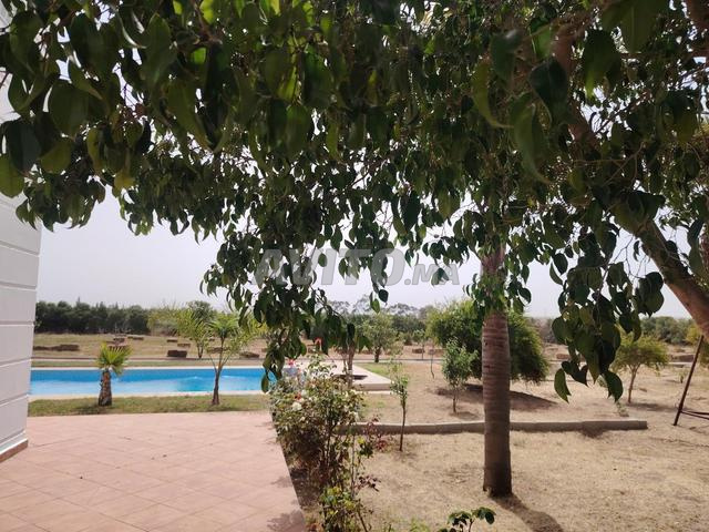 belle villa dans les champs d oliviers - 2