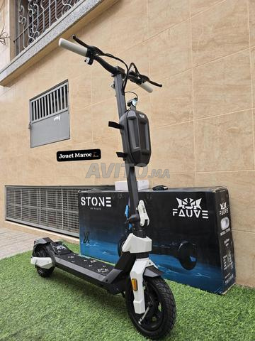 سكوتر كهربائي ECOXTREM STONE G1
