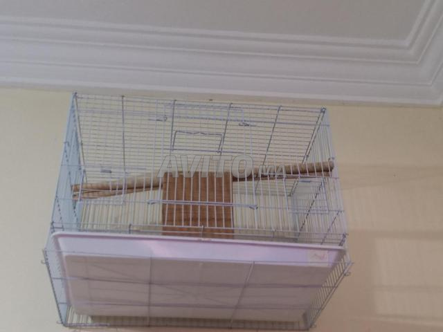 Cages pour oiseaux - 2