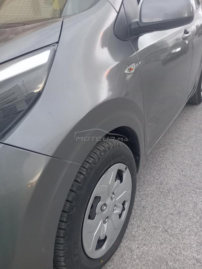 kia Picanto 