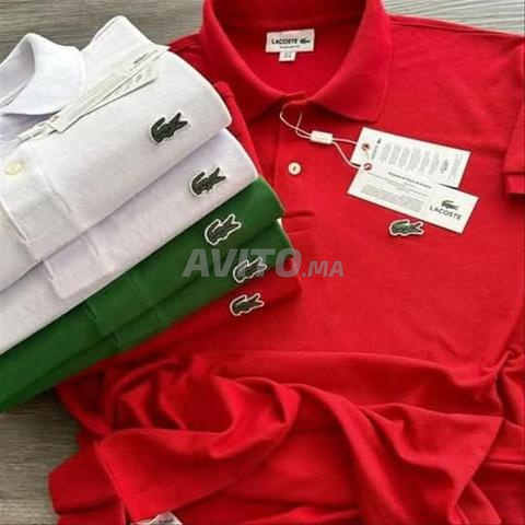 Polos Lacoste et montres Armani originals - 2