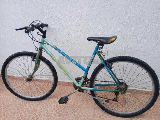 4 vélos exceptionnels pour l'été - 2