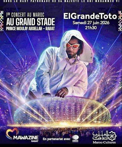 Ticket pelouse le 27 Moulay Abdellah (Mawazine)