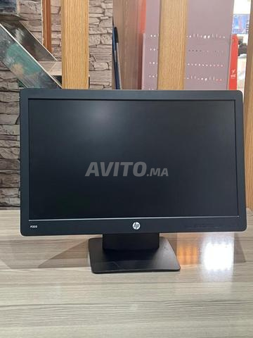 Écran HP P203 20 Pouces