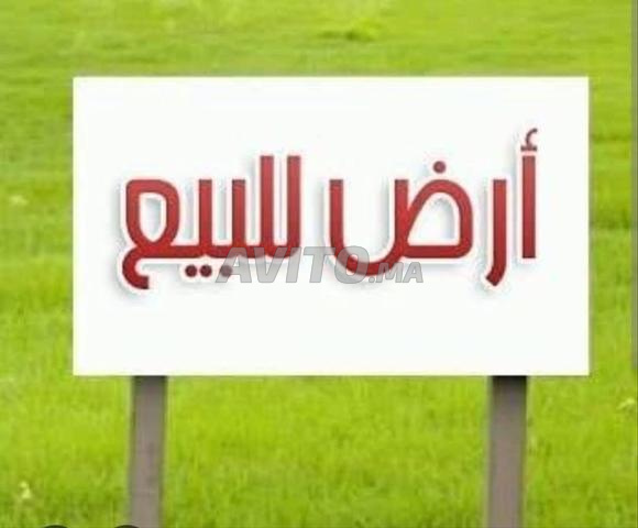 أرض بتكاديرت سكنية بجردة 90 متر مربع بـ 60 مليون سنتيم