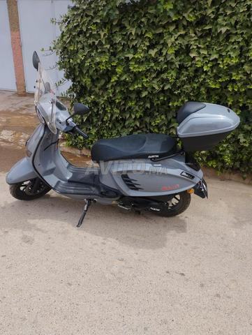 Scooter Austin - 2