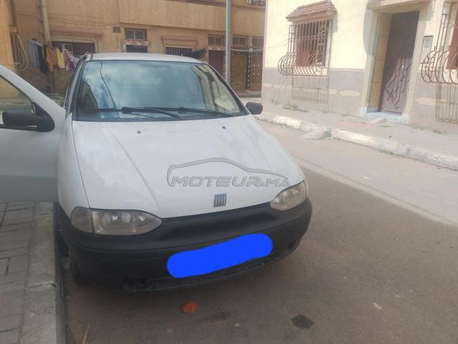 سيدي بنور في ارض عمور 