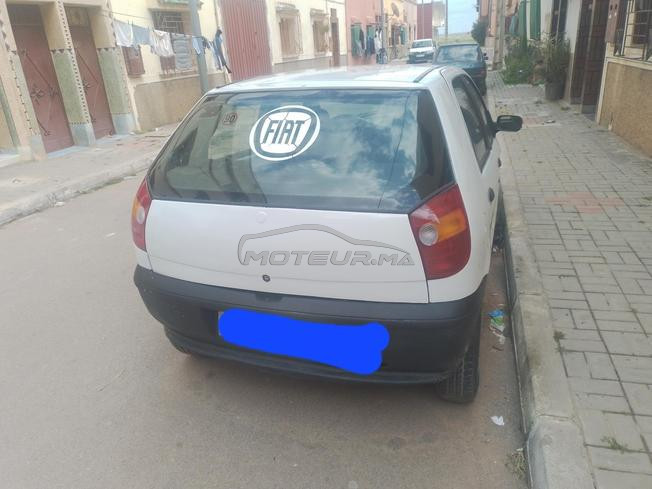 سيدي بنور في ارض عمور 