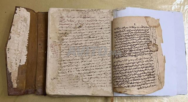 Manuscrit arabe ancien 1863 Droit malikite, calligraphie marocaine - 2