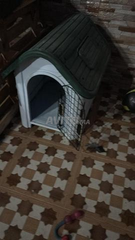 Niche pour chien en très bon état