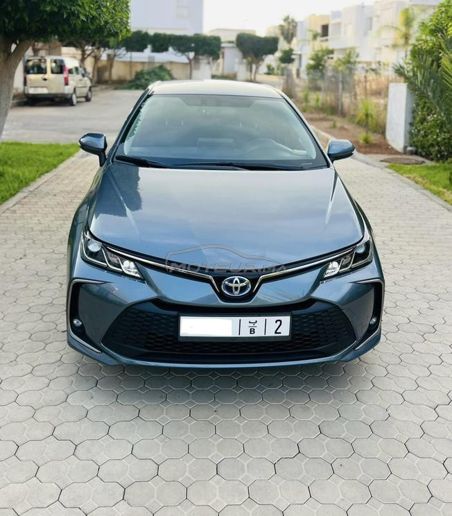 Toyota corolla OHEV hybride 