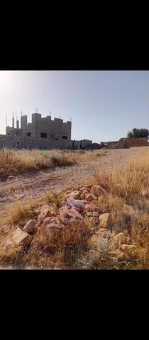 تغازوت دوار تاشديرت
