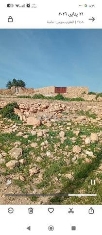 تغازوت دوار تاشديرت - 2