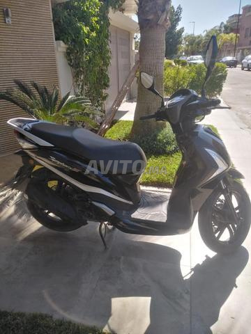 Sym 50 cm - 2
