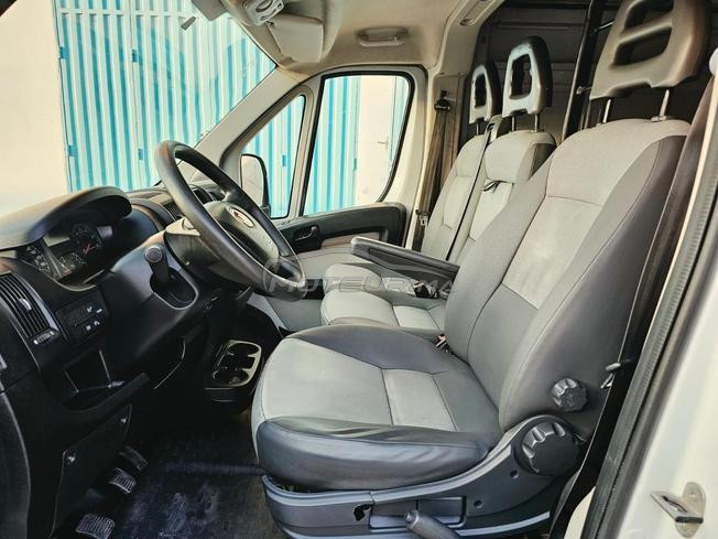 Fiat Ducato Diesel Manuelle 2015 à Agadir