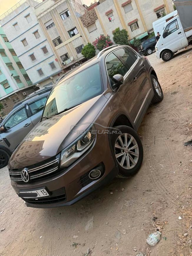 ديوانة 2017 مليحة. صباغة دار 