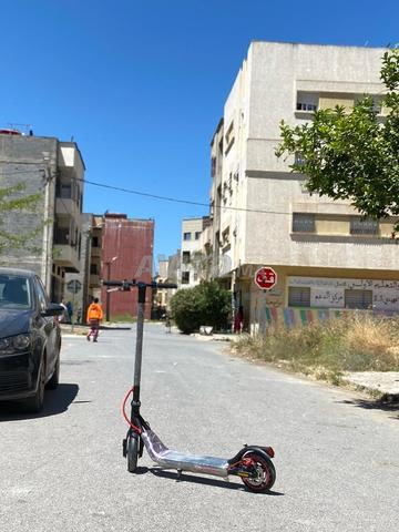 ماكسويل M2 - 2