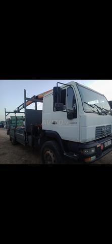 camion grue man