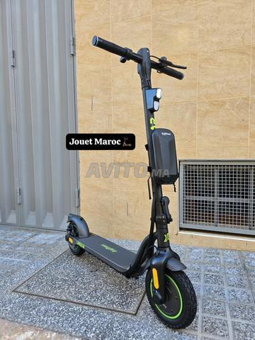 سكوتر كهربائي ECOXTREM LINAER 10.4AH - 2