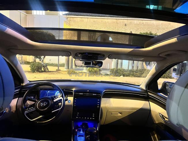 Hyundai Tucson 1er main 