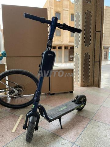 Trottinette Ecoxtrem Linier modèle 2026