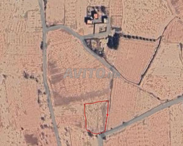 Terrain titré et enregistré de 2500m², avec eau et route proche - 2