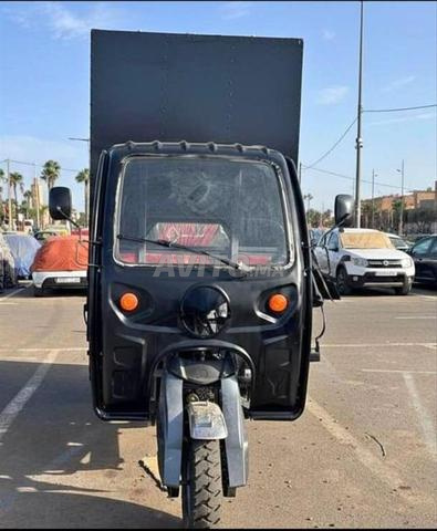 Triporteur GWT 250 CC - 2