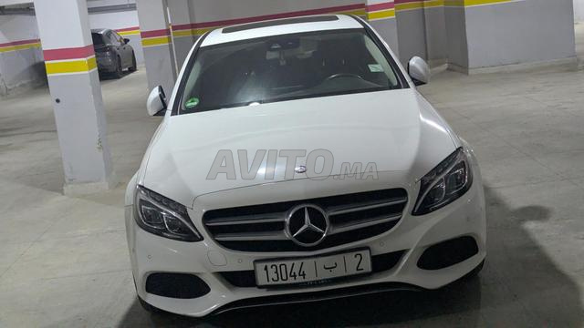ديوانة 2024 - 2