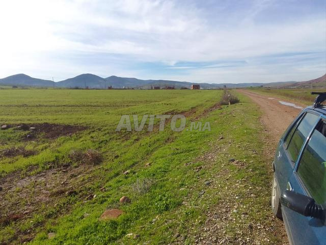 Annonce de vente de terrain agricole - 2