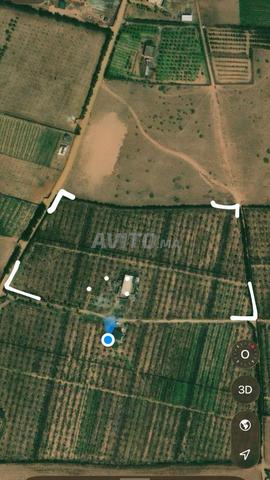 FERME A VENDRE REGION RABAT SALE