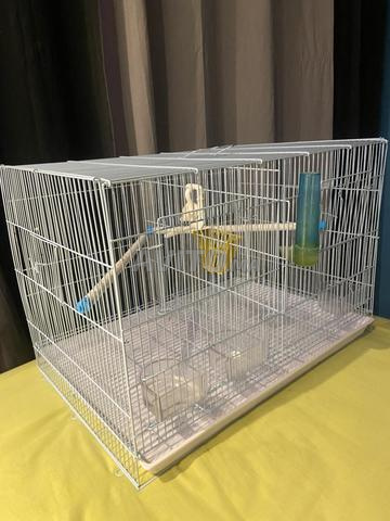 Grande cage pour oiseaux