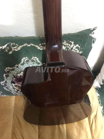 Guitare Salvador Ibanez - 2