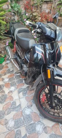 Moto Docker - 2