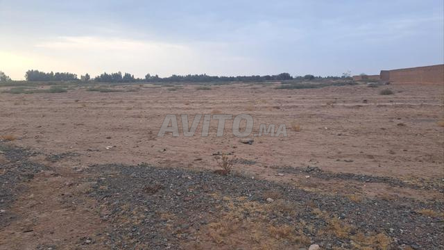 Hectare sd1 route wrika km 10 - 2
