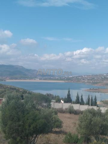TERRAIN DE 1000M2 À VENDRE SUR ZINAT - 2
